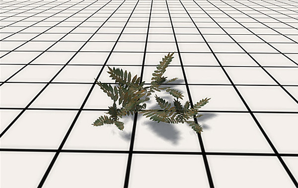 afghan vegetation 24 tree 3d max - 24 Afghan Vegetation Models by pure3dviz